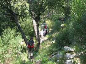 Olympos Mitos