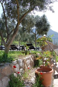 Olympos Mitos