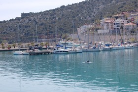 Olympos Mitos