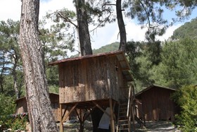 Saban Tree Houses