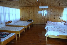Saban Tree Houses