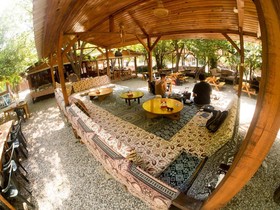 Saban Tree Houses