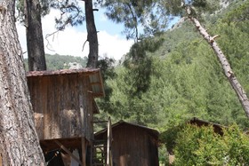 Saban Tree Houses