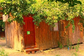 Saban Tree Houses