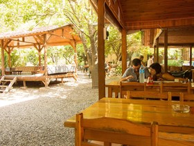 Saban Tree Houses