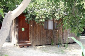 Saban Tree Houses