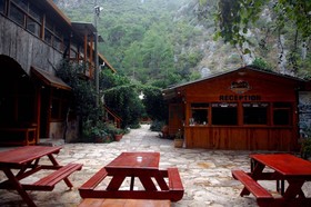 Türkmen Tree Houses