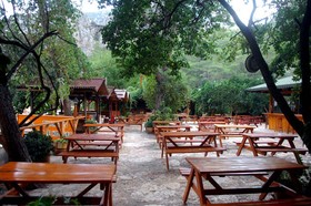 Türkmen Tree Houses