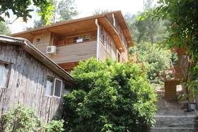Türkmen Tree Houses