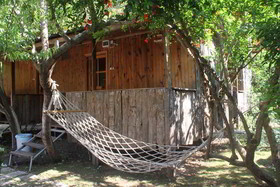 Türkmen Tree Houses