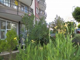 Deniz Suit Hotel