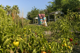 Marvida Family Eco