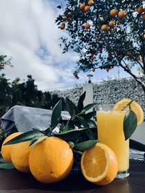 Relaxion Spa & Resort Hotel