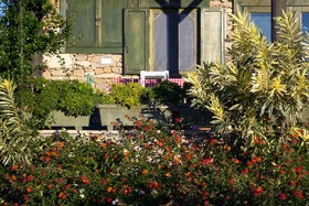 Seki Cottages