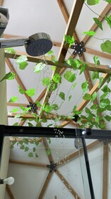 Selale Park Gizli Bahce