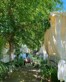 Selale Park Gizli Bahce