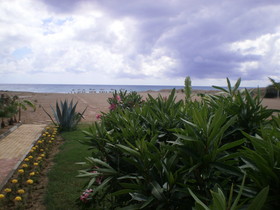 Skys