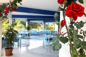 VONRESORT Elite