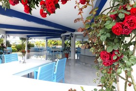 VONRESORT Elite
