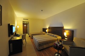 Leodikya Kirman Premium