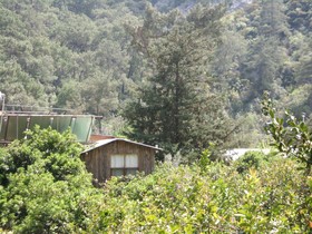 Olympos Orange Pension