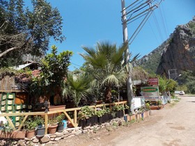 Olympos Orange Pension