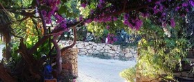 Eucalyptus Pension