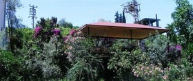 Eucalyptus Pension