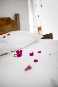 Flower Pension