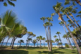 Acanthus Cennet Barut Collection