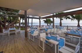 Acanthus Cennet Barut Collection