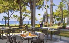 Acanthus Cennet Barut Collection