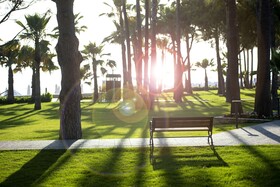 Acanthus Cennet Barut Collection