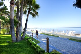 Acanthus Cennet Barut Collection