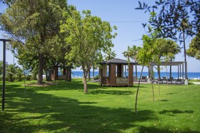 Acanthus Cennet Barut Collection