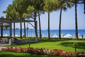 Acanthus Cennet Barut Collection