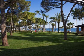 Acanthus Cennet Barut Collection