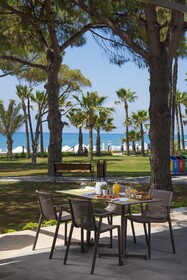 Acanthus Cennet Barut Collection