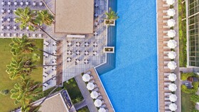 Acanthus Cennet Barut Collection