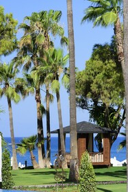 Acanthus Cennet Barut Collection