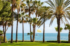Acanthus Cennet Barut Collection