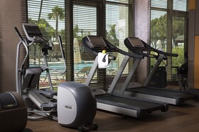 Acanthus Cennet Barut Collection