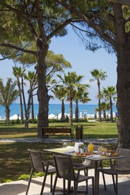 Acanthus Cennet Barut Collection