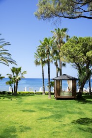 Acanthus Cennet Barut Collection