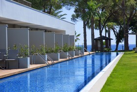 Acanthus Cennet Barut Collection