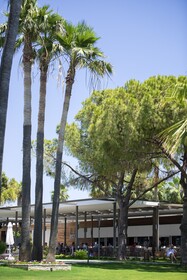 Acanthus Cennet Barut Collection