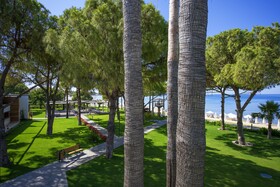 Acanthus Cennet Barut Collection