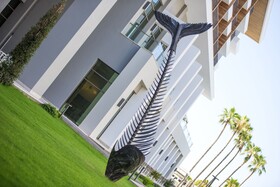 Acanthus Cennet Barut Collection