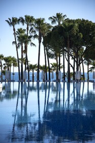 Acanthus Cennet Barut Collection