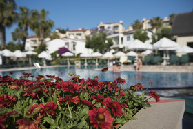 Arum Barut Collection